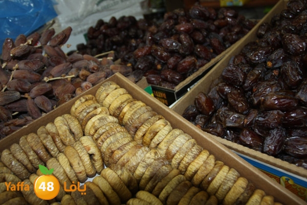 zhra2 tamer 705 (25).JPG